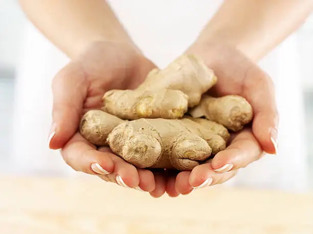Regional Flavors in a Handful